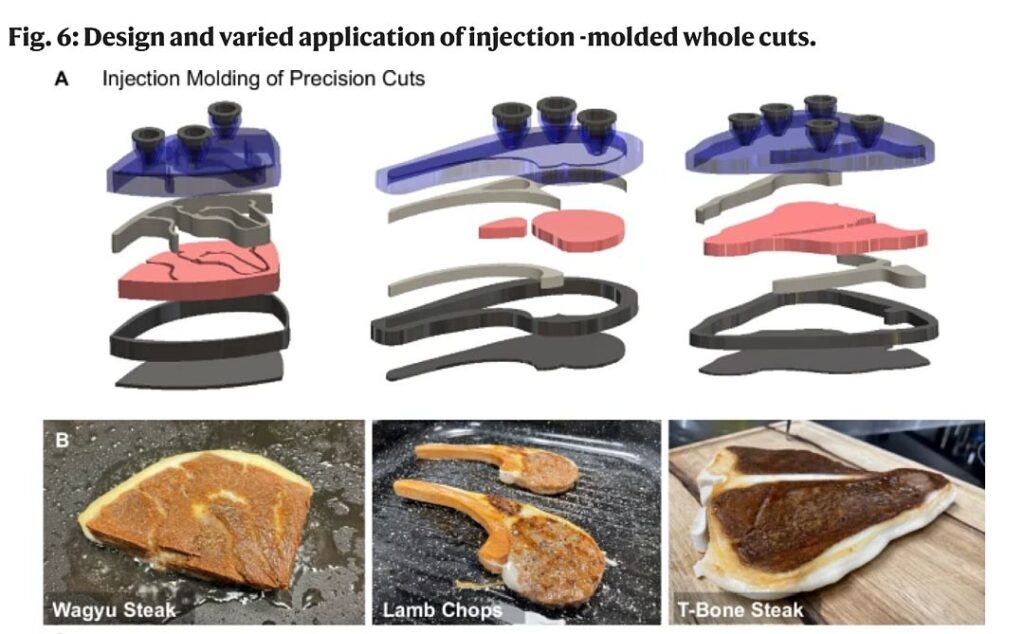 Injection molding: the key to the ultimate plant-based steak?