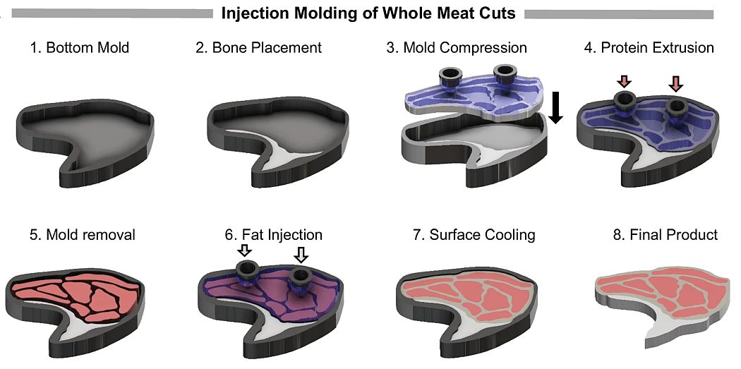 Injection molding for whole cuts. of plant-based meat. Image credit: Nature Communications