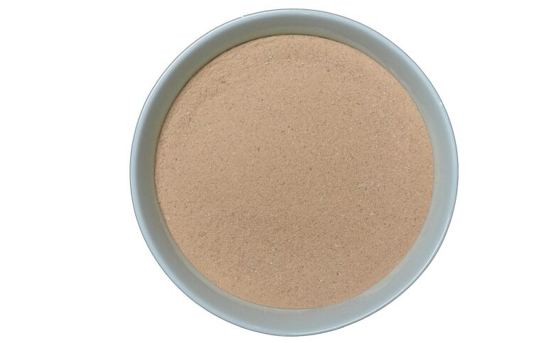 NovoNutrients is one of a small group of startups attempting to decouple food production from agricultural land via gas fermentation, using gases instead of purified sugars to feed microbes that produce protein. Image credit: NovoNutrients