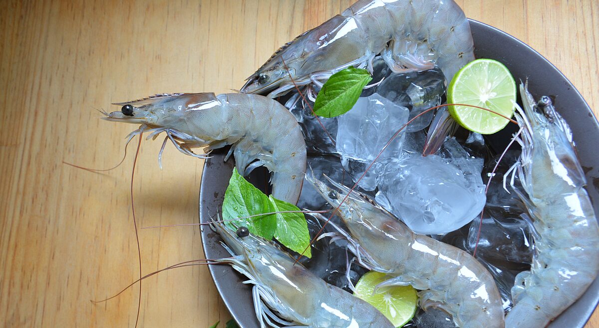 Atarraya Fresh Agua Blanca Shrimp. Image credit: Atarraya