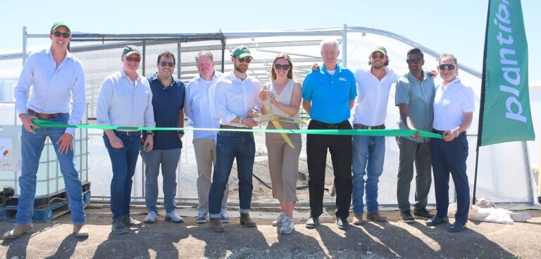 Plantible Texas Image credit Plantible