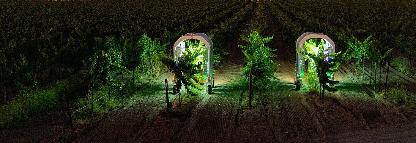 Saga Robotics in California vineyard Image credit Jason Henry