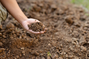 Regenerative ag, soil Image credit: istock/piyaset