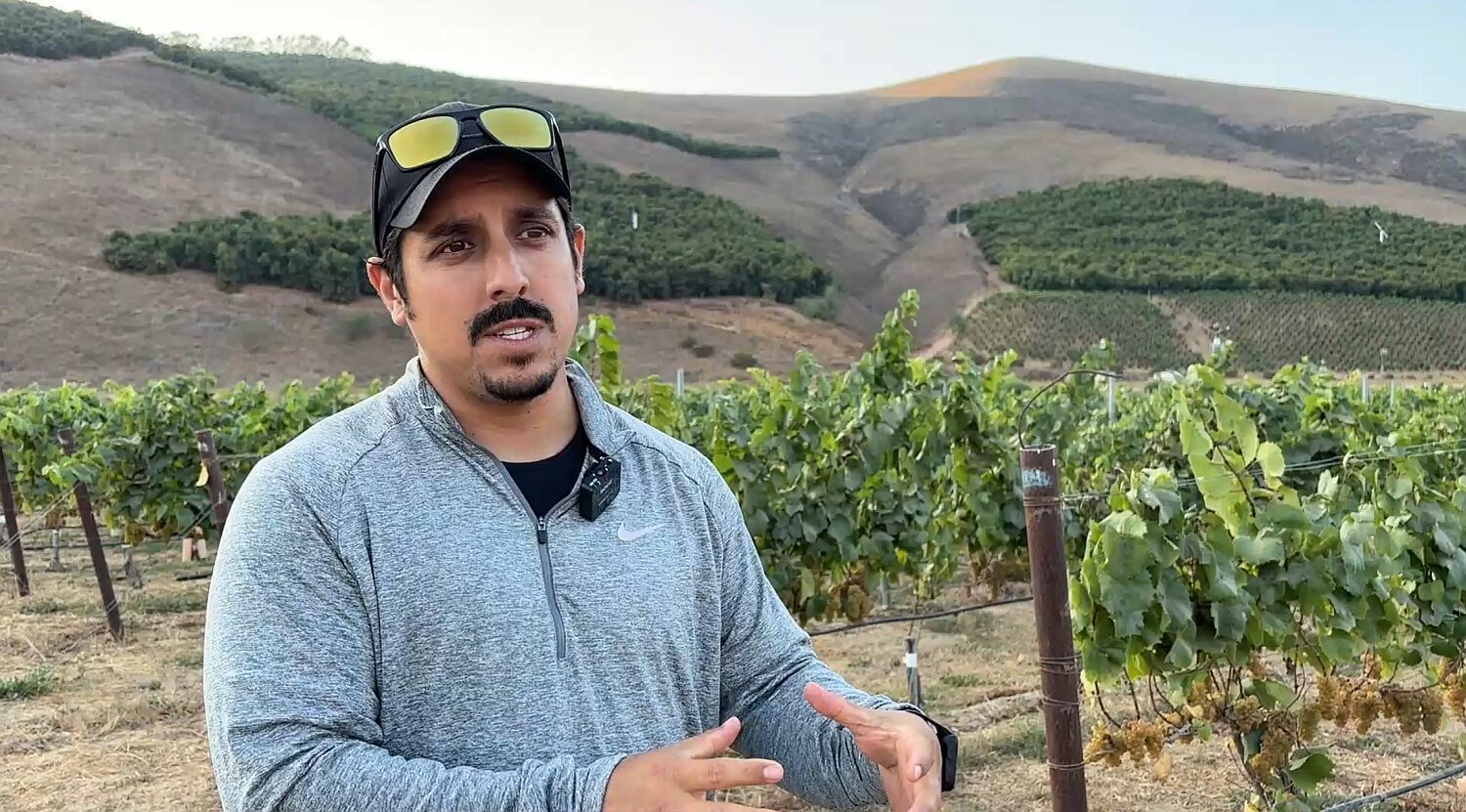 Greg Gonzalez, vineyard manager, Bien Nacido Estate