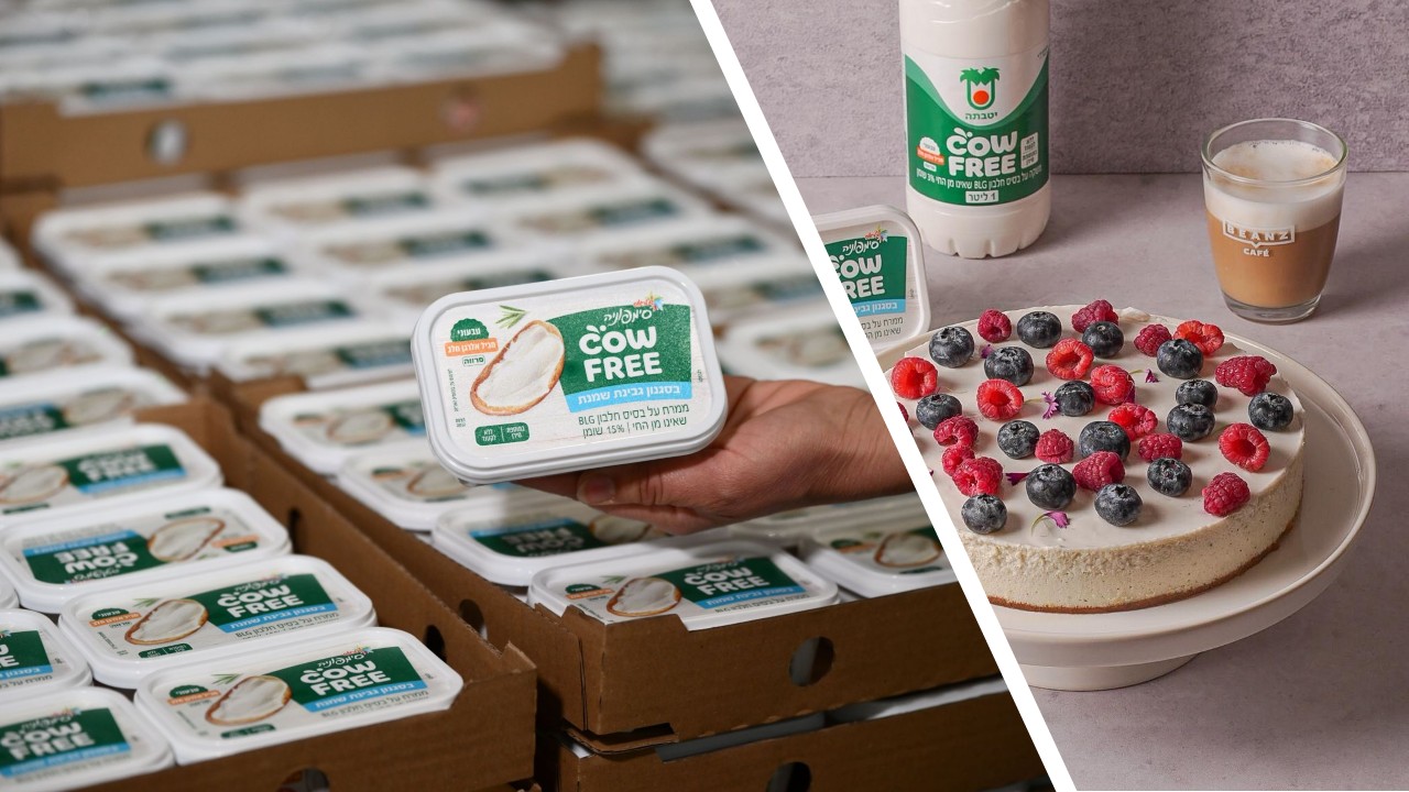 Strauss Group Cow-free drinks and cream cheese