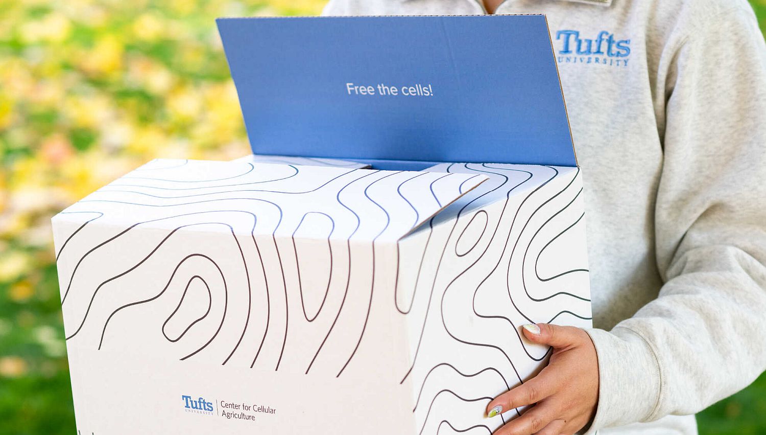 Under the deal, Tufts will be the distributor of the cells. Image credit: GFI