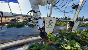 DailyRobotics strawberry harvester Image credit Daily Robotics