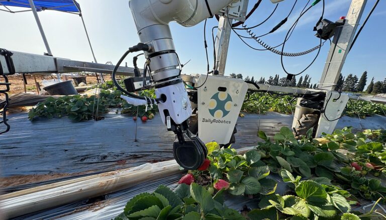 DailyRobotics strawberry harvester Image credit Daily Robotics