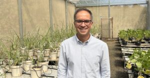 Gustavo Mamao, IdeeLab