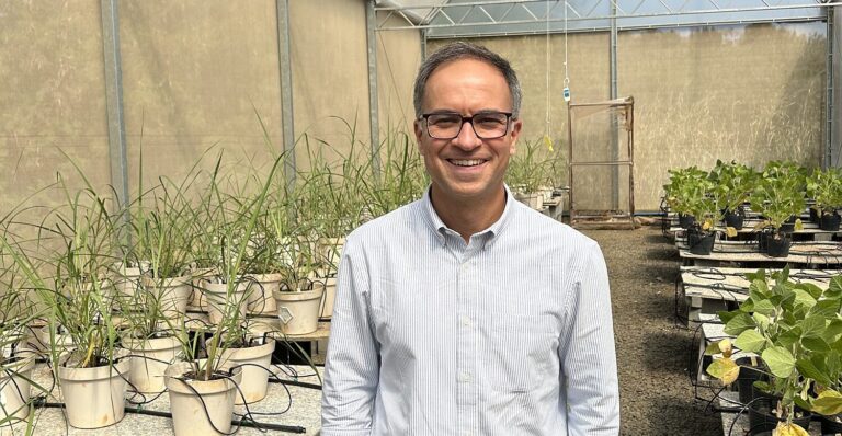 Gustavo Mamao, IdeeLab