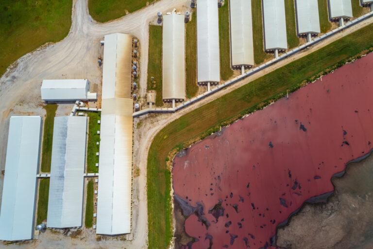 Windfall Bio Waste methane to fertilizer: Windfall Bio trial shows yield bump