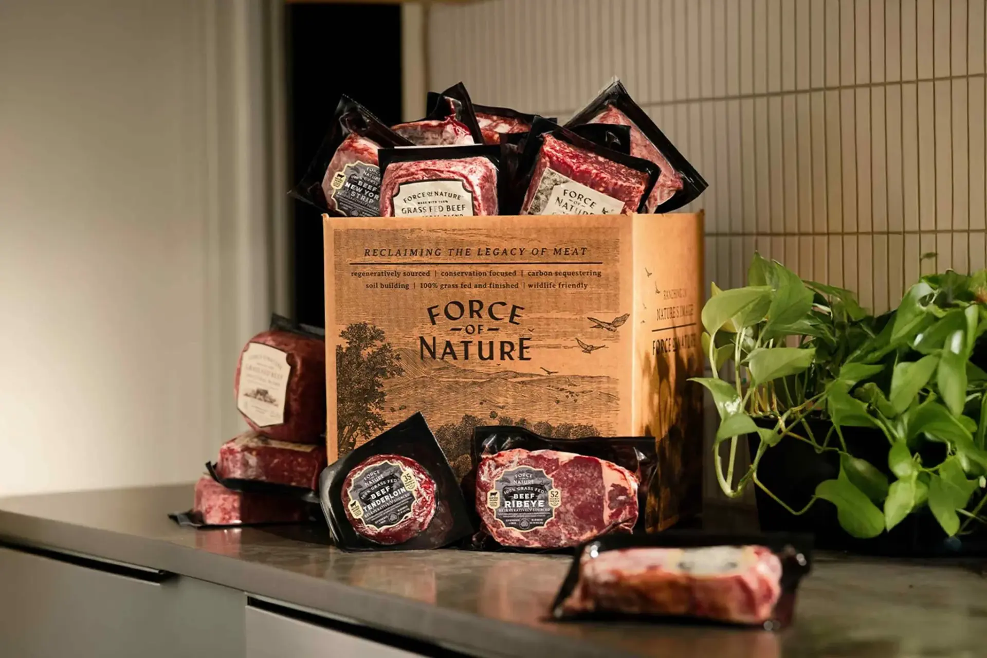 Regenerative farming labels fall short, warns Force of Nature CEO as calls for accountability grow