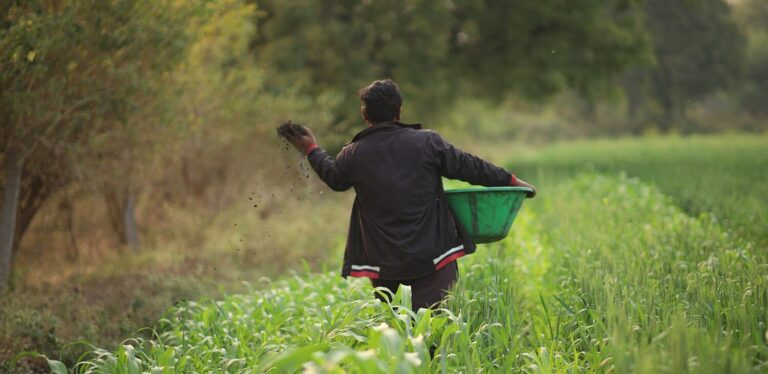 Farmer spreading biochar. Image credit: Varaha