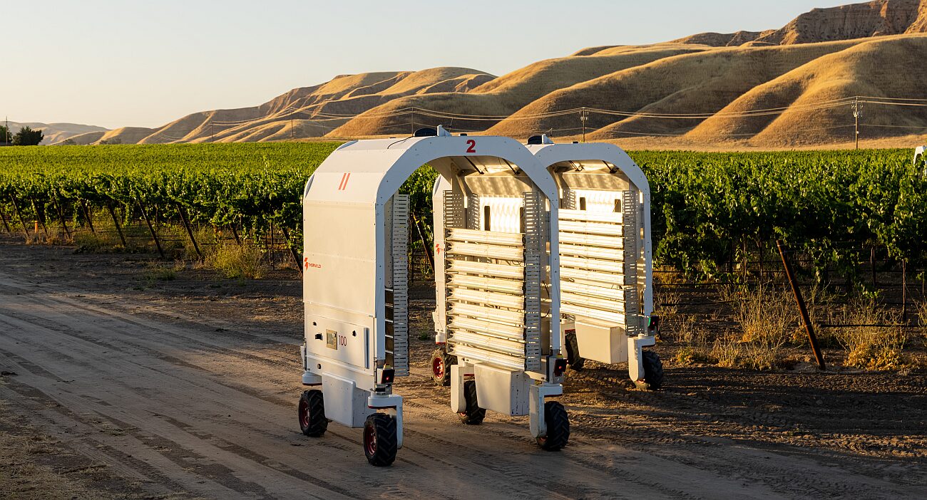 Saga Robotics bots in a vineyard Image credit Jason Henry