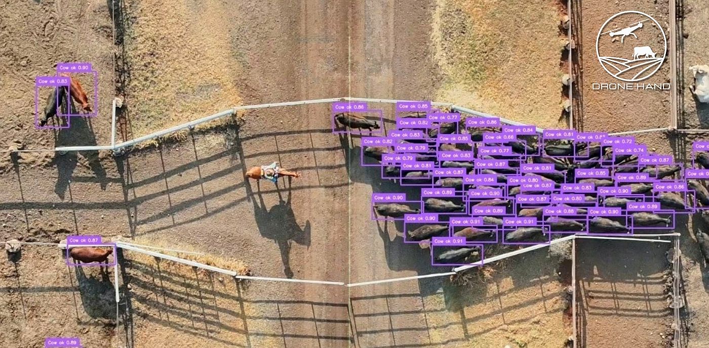 Drone-Hand is testing its tech in feedlots through fixed-camera computer-vision deployments with meat giant JBS. Image credit: Drone-Hand
