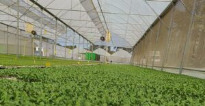 Image credit: GrowPact