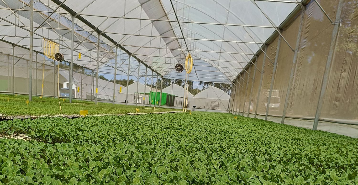 Image credit: GrowPact