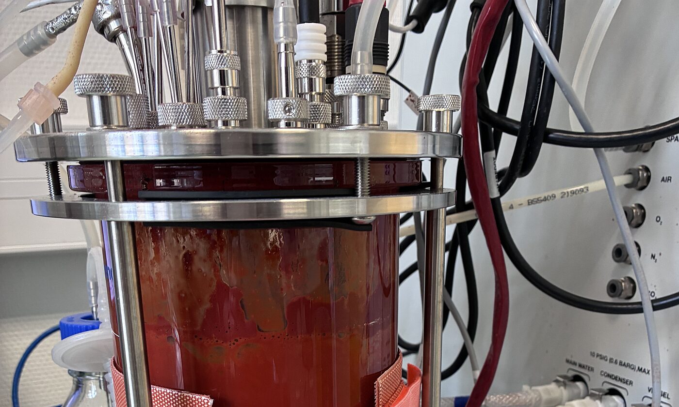 baCta astaxathin production in the lab Image credit baCta