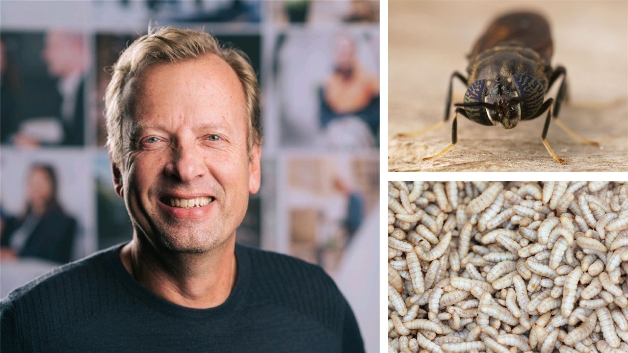 Maiko van der Meer, CEO, Protix. Image credits: Protix, istock/Tomasz Klejdysz and istock/Wirestock