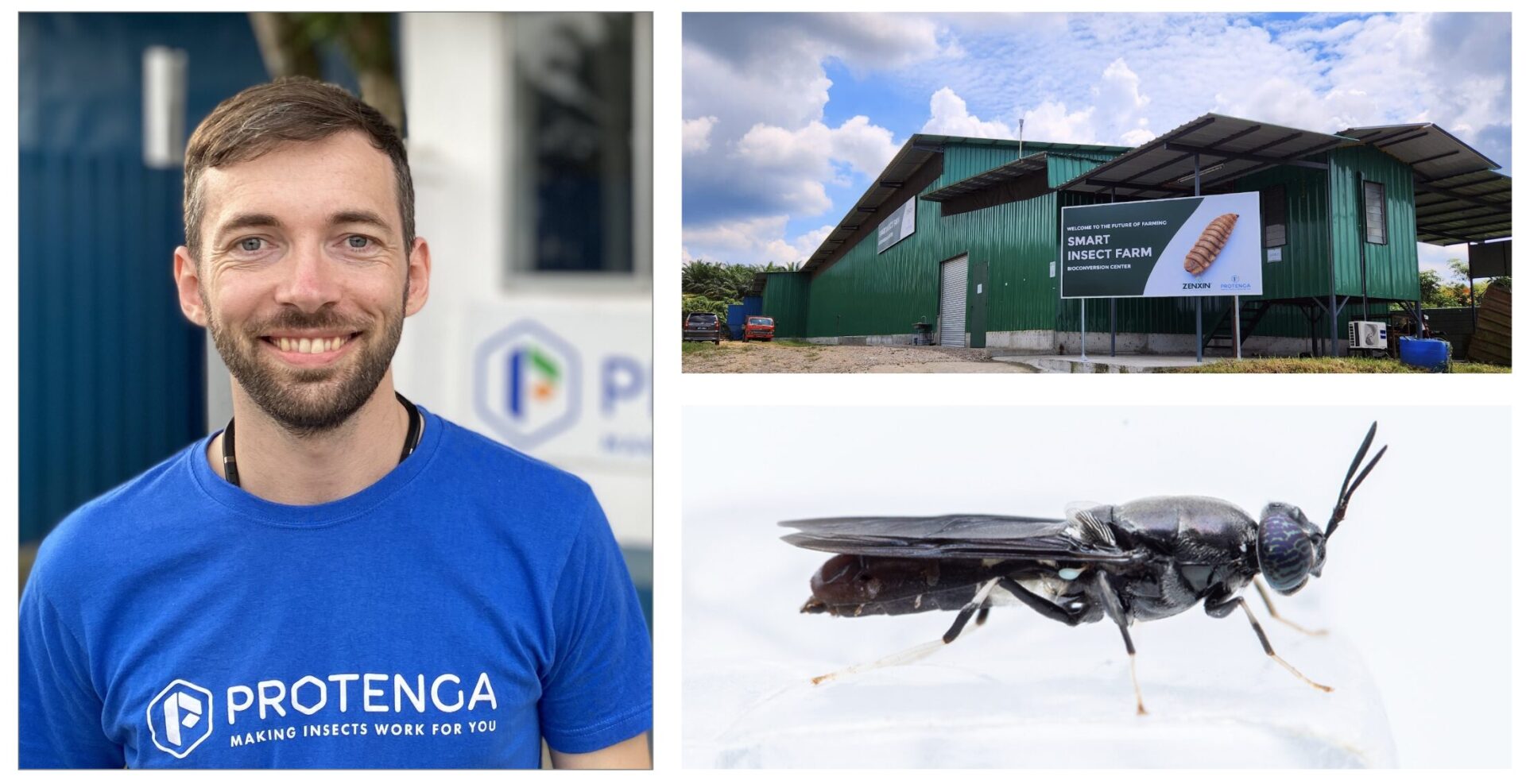 Protenga insect farming. Image credit Protenga