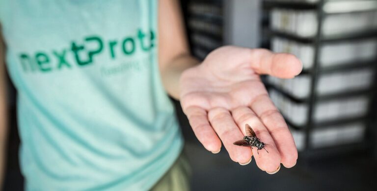 Image credit: nextProtein