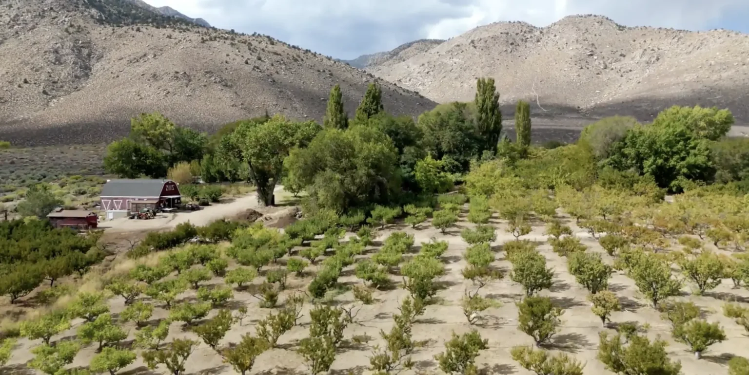 From black market CSA to regenerative farm in California