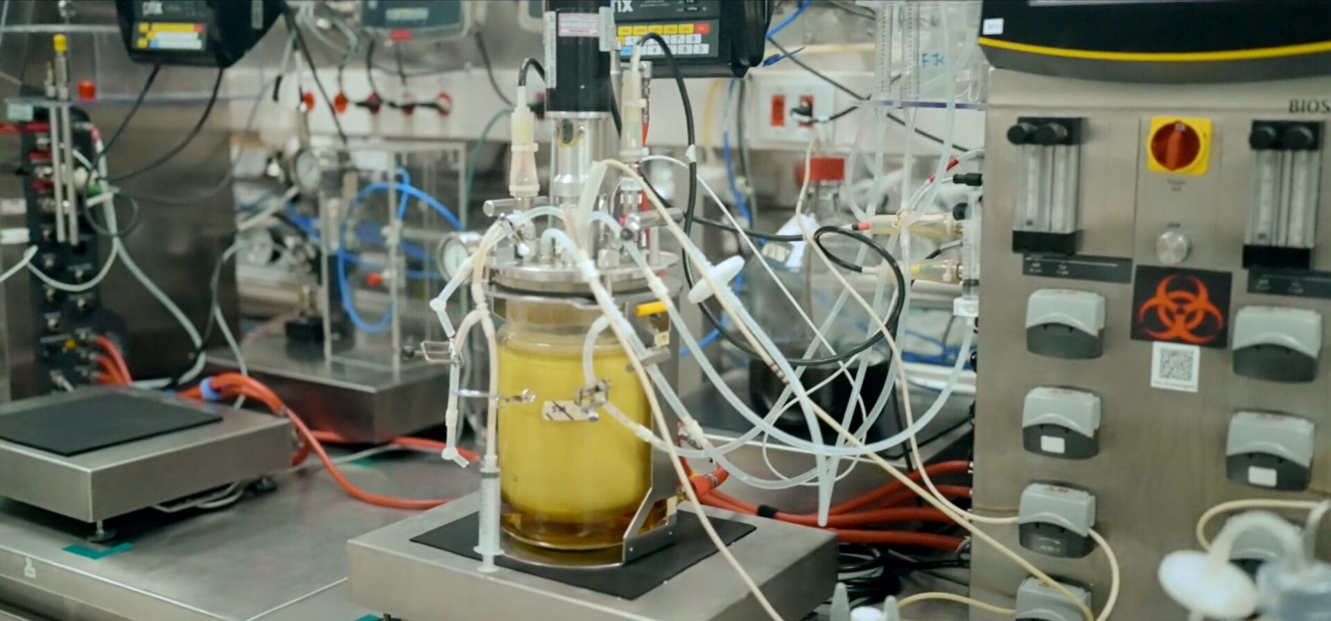 Amyris bets on biotech comeback after bankruptcy overhaul