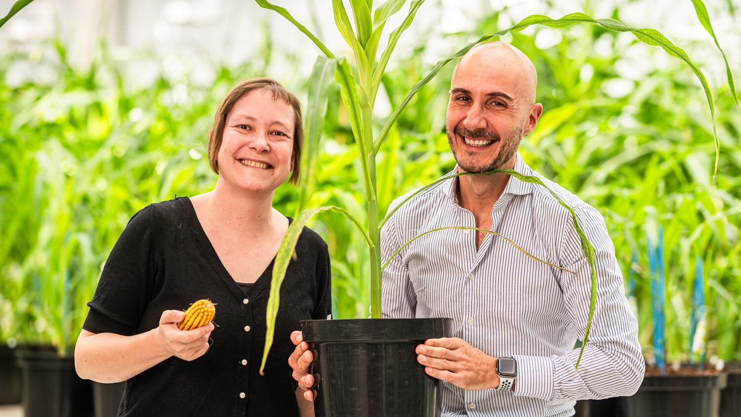Prof Hilde Nelissen (left) and Giacomo-Bastianelli (right). Image credit: Rainbow Crops