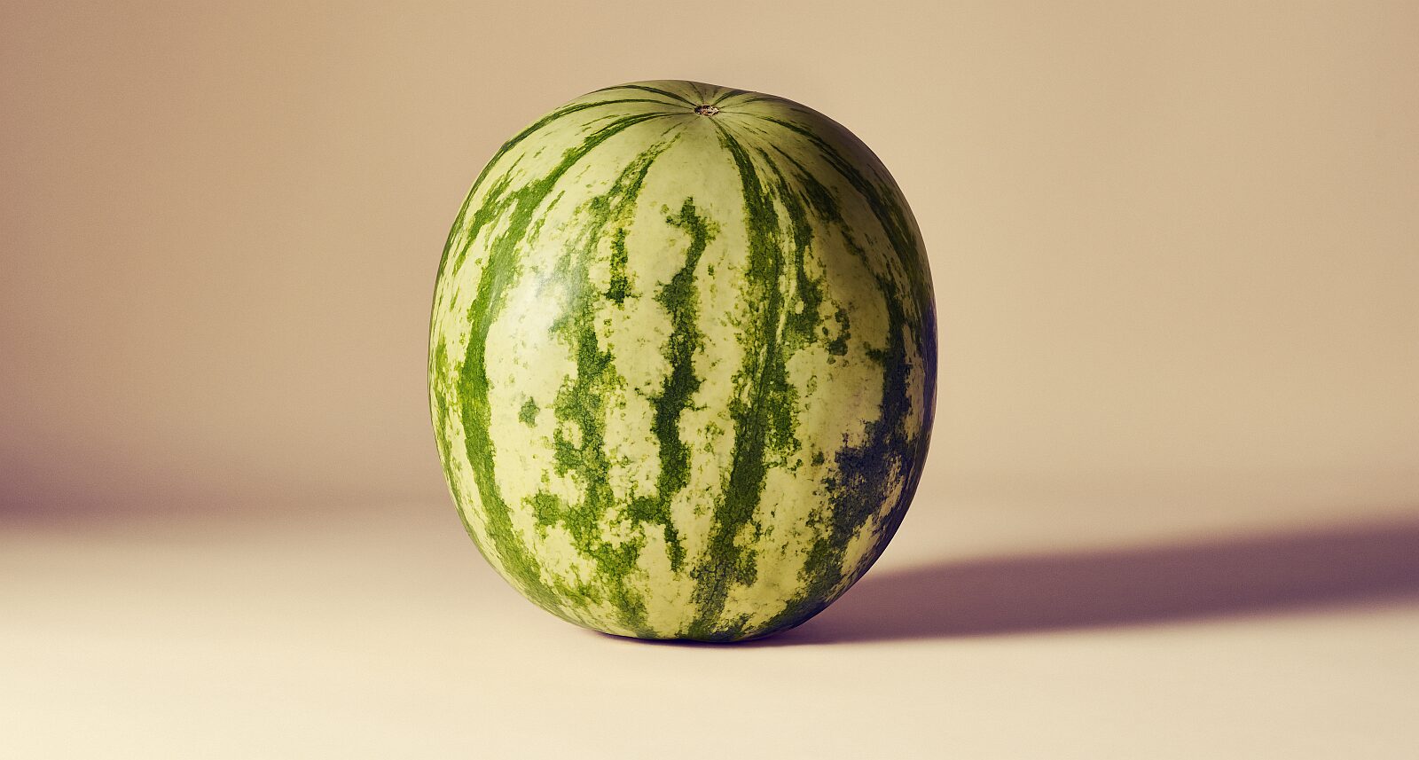 watermelon Image credit Orbem