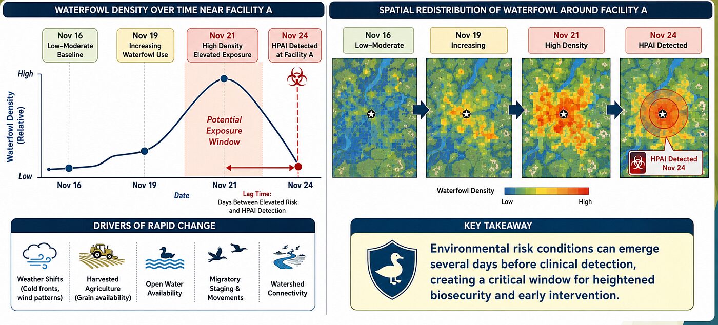 AgriNerds has developed a predictive tool for determining waterfowl abundance in close proximity to commercial poultry. Image credit: AgriNerds