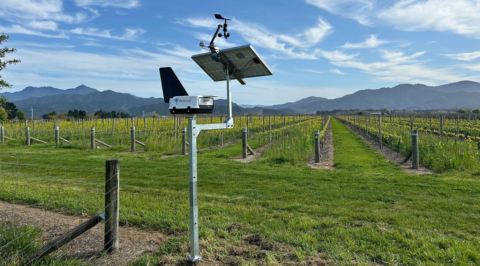 BioScout raises $4.8 million to detect crop diseases early