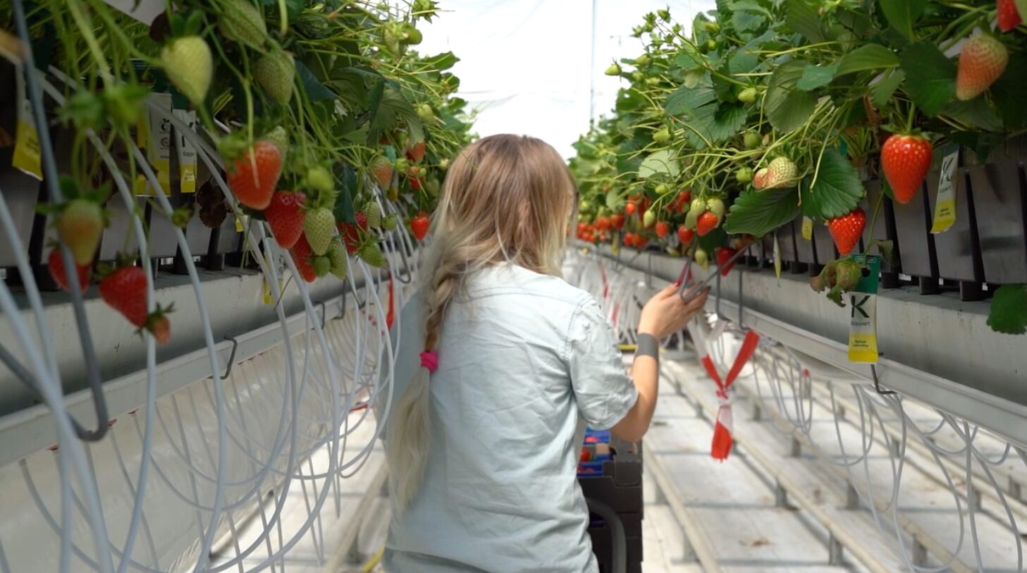 Biographica and Hudson River Join Forces to Develop New Crops