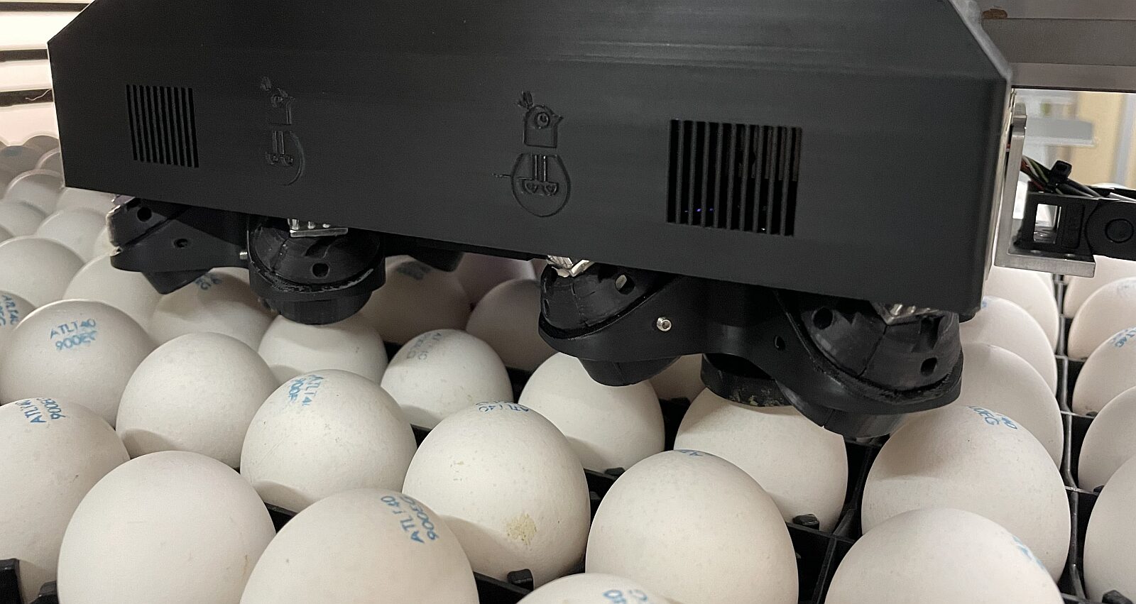 Omegga in ovo testing Image credit Omegga