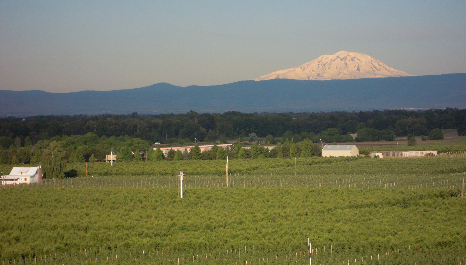 Yakima Valley, Washington Image credit Reservoir Farms 